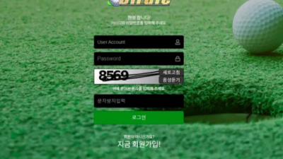 먹튀사이트 Ι 버디 Ι BIRDIE Ι 먹튀확정