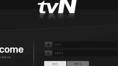 먹튀사이트 Ι 티비엔 Ι TVN Ι 먹튀확정