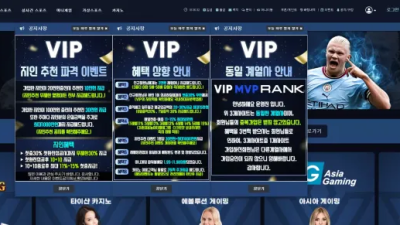 먹튀사이트 Ι 브이아이피 Ι VIP Ι 먹튀확정